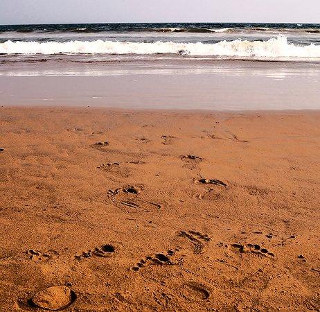 Puri Swargadwar Beach